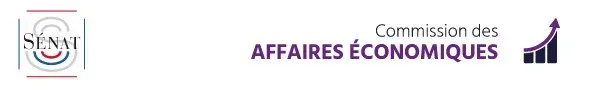 PARIS : Sénat - La directrice générale d'Orange auditionnée par les affaires économiques