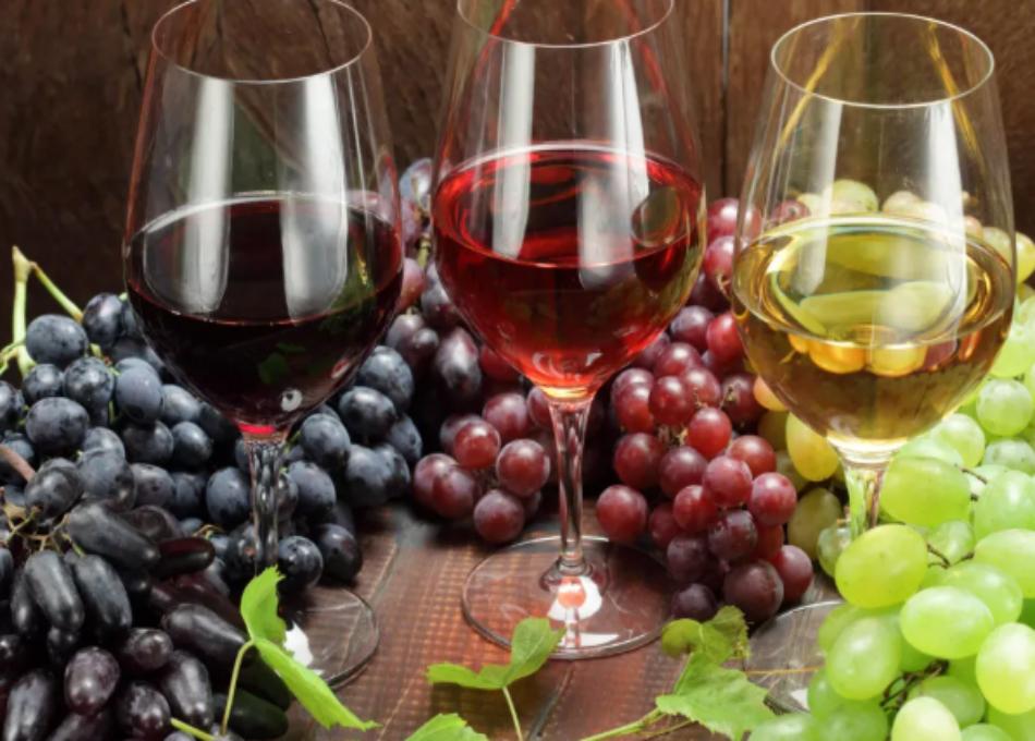 LA CELLE : Art & Vin 2026 - Les vignerons indépendants questionnent l'avenir de l'œnotourisme