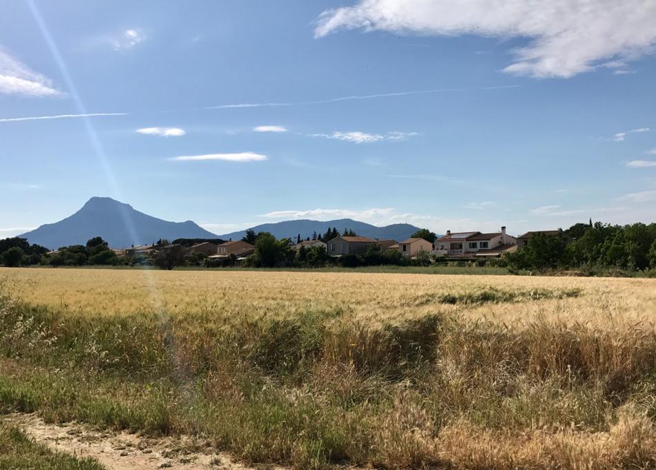 PARIS: Geopolitics and geoeconomics of nitrogen fertilizers – Presse Agence