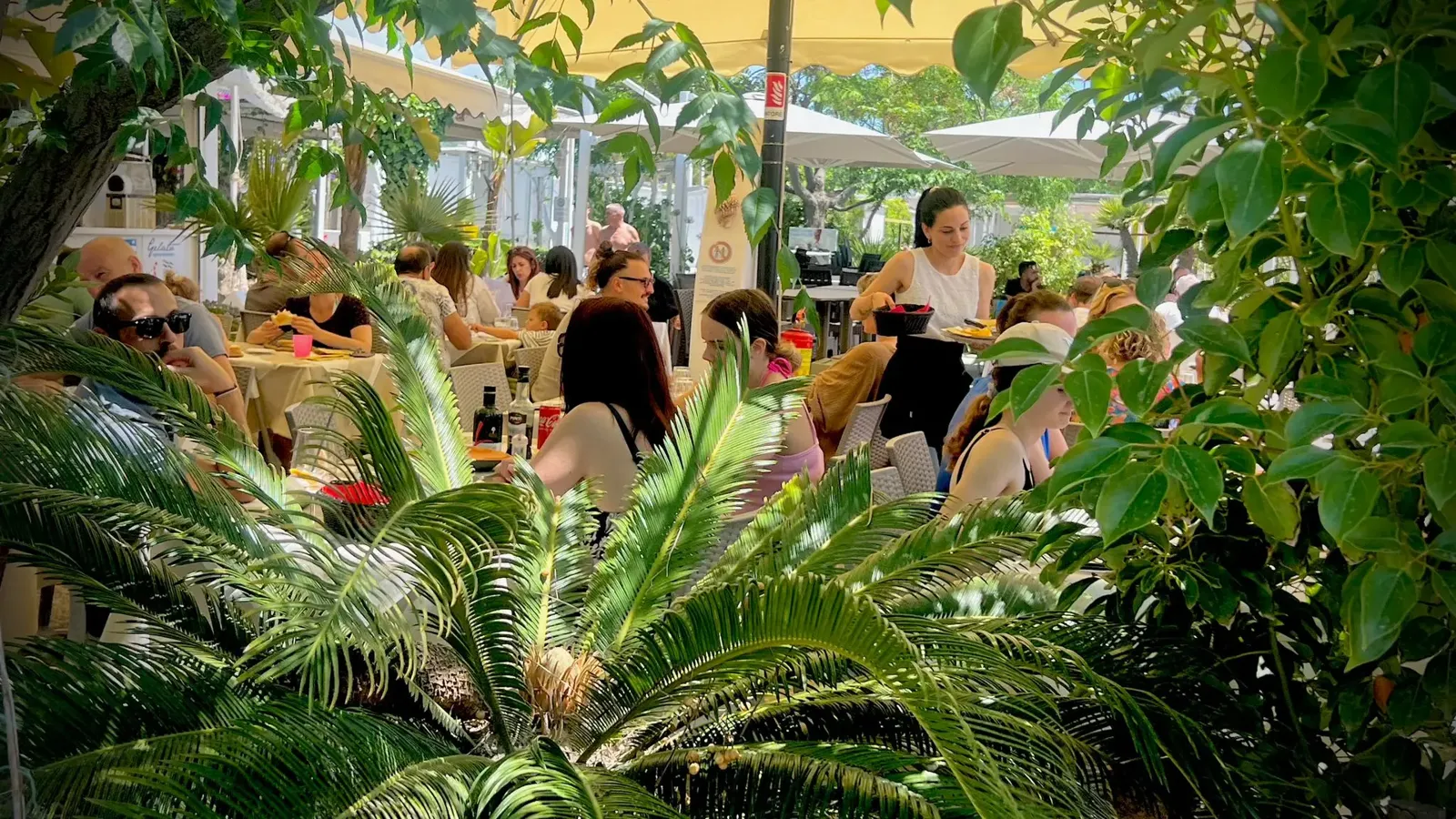 ARMA DI TAGGIA : Soirée espagnole - Les Bagni Germana célèbrent l'été avec une paella géante