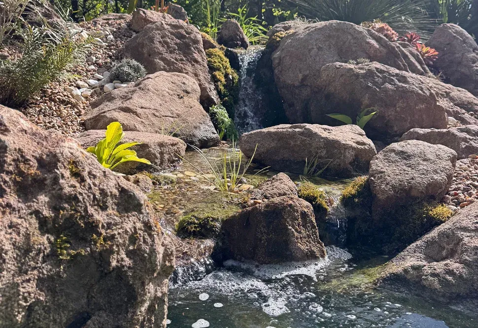 CHAUMONT-SUR-LOIRE : Festival des Jardins - Le "Jardin Avatar" plonge les visiteurs dans un univers
