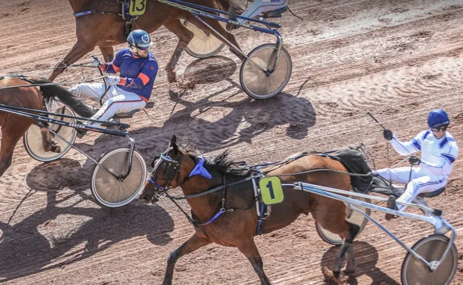 FRANCE : Tourisme - Les hippodromes, stars inattendues des loisirs estivaux