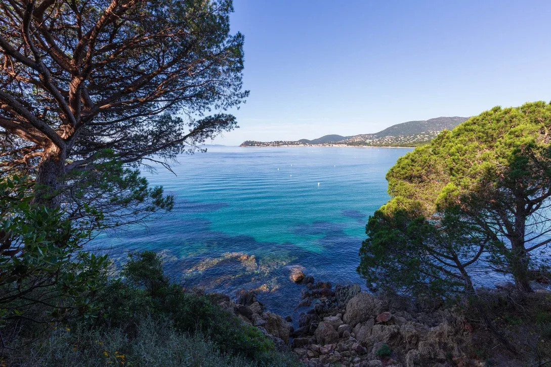 LA CROIX-VALMER : Journée de la Mer - Ateliers et cinéma en plein air au Cap Lardier