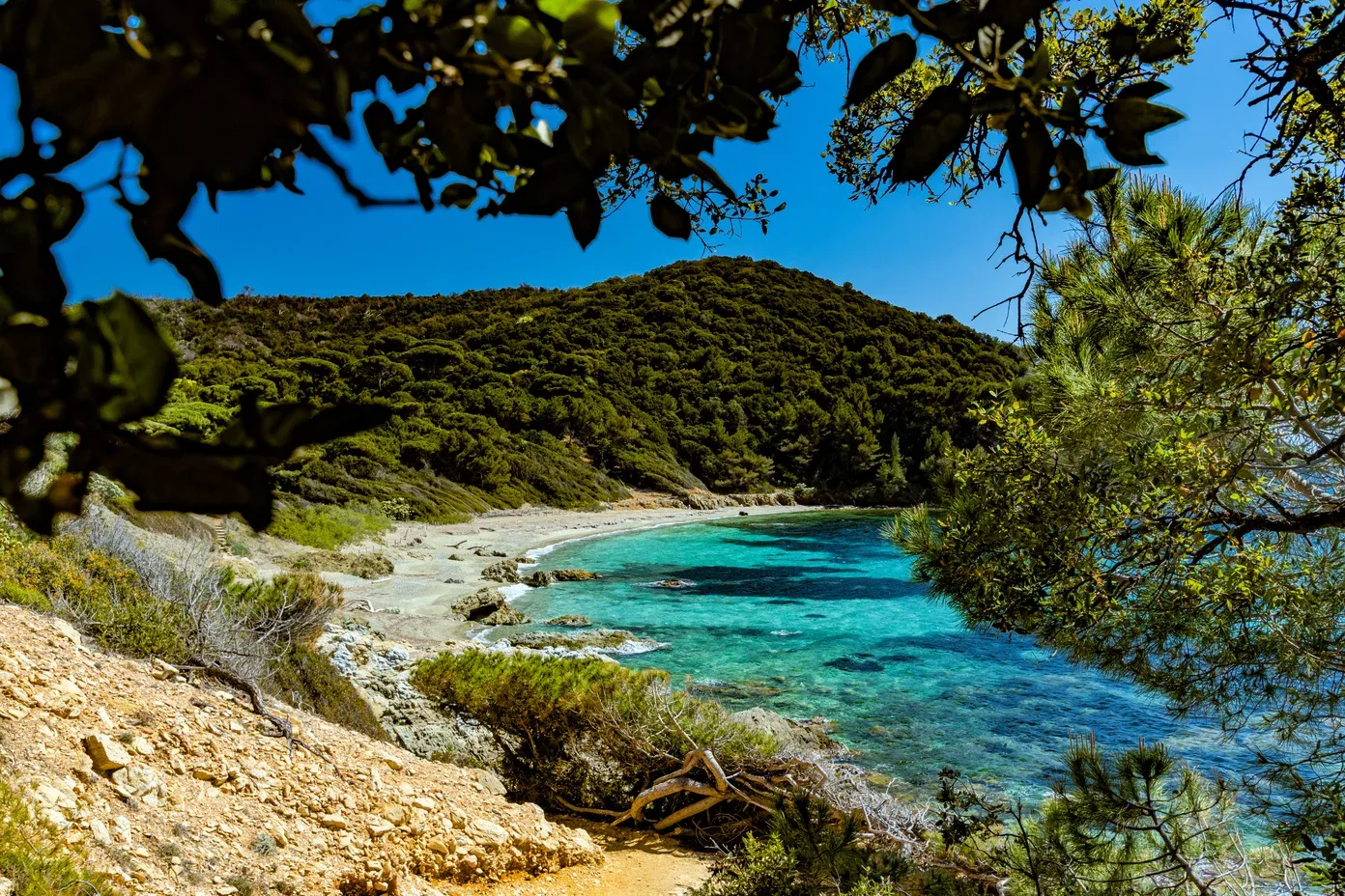 LA CROIX-VALMER : Journée de la Mer - Ateliers et cinéma en plein air au Cap Lardier