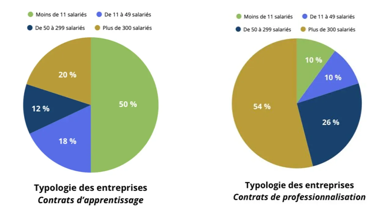 MARSEILLE : Emploi - Le commerce en PACA maintient le cap de l'alternance avec 8 400 contrats en 202