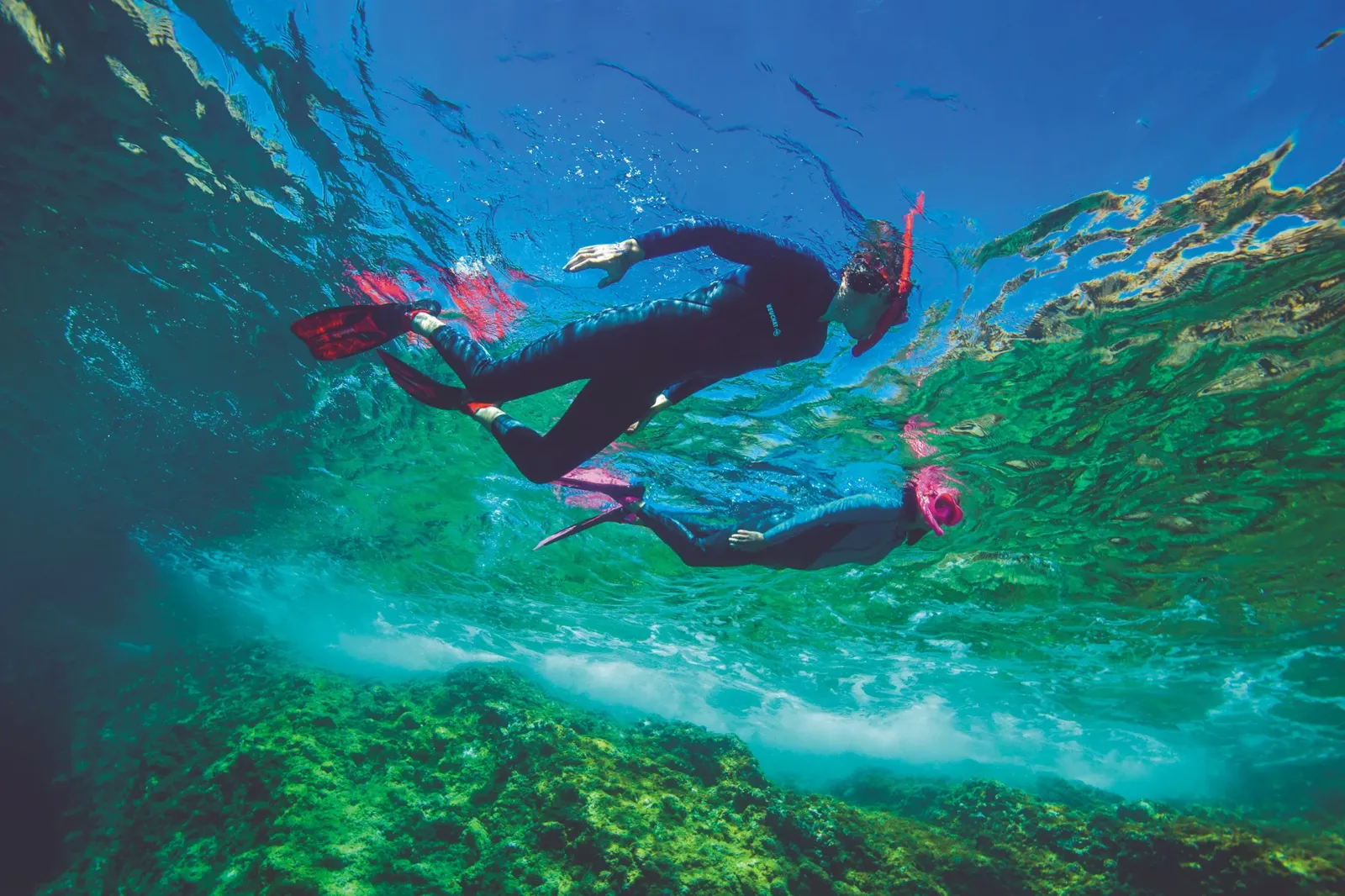 MARSEILLE : Tendance été 2026 - La Randosub®, une invitation à explorer les fonds marins pour tous