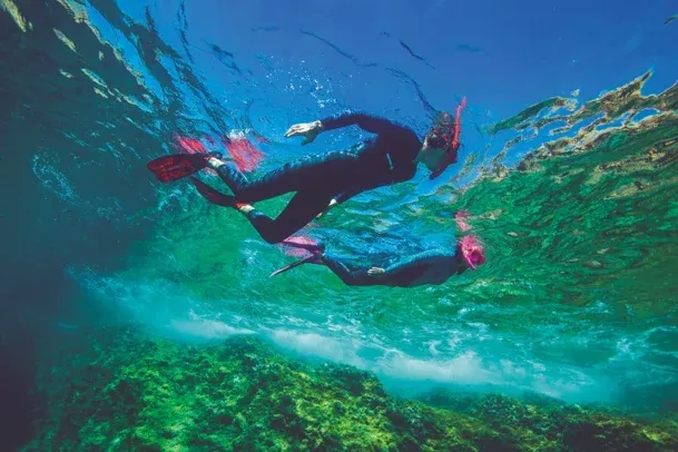 MARSEILLE : Tendance été 2026 - La Randosub®, une invitation à explorer les fonds marins pour tous