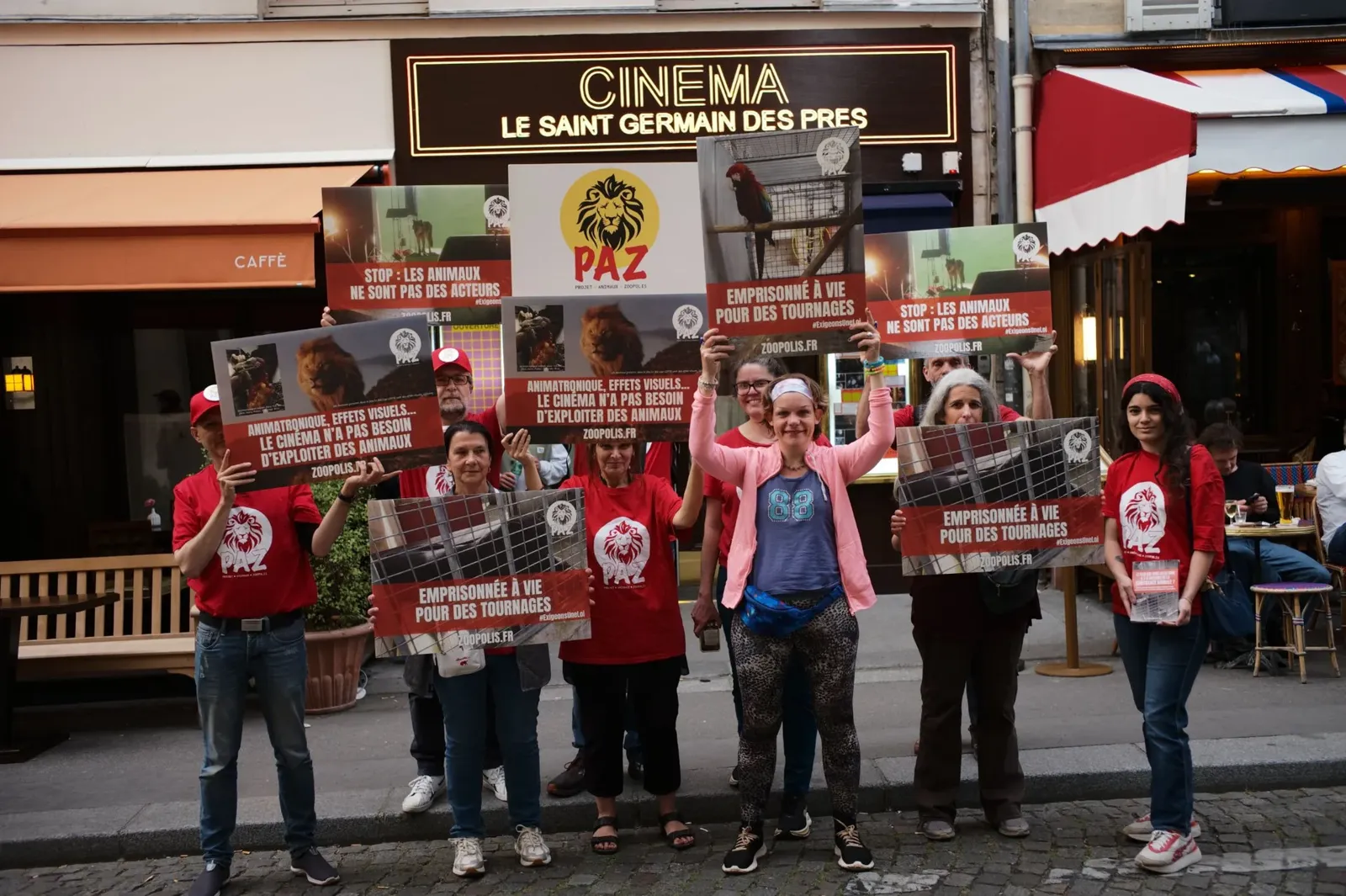 MARTIGUES : Bien-être animal - L'exploitation d'une panthère dans un film indigne une association