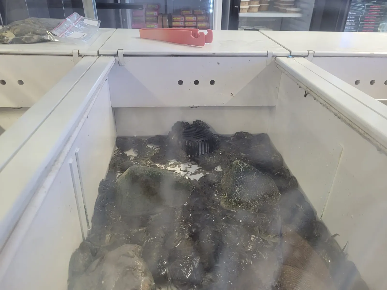 NICE : Protection animale - Mobilisation contre la vente de crabes vivants pour la pêche au vif chez
