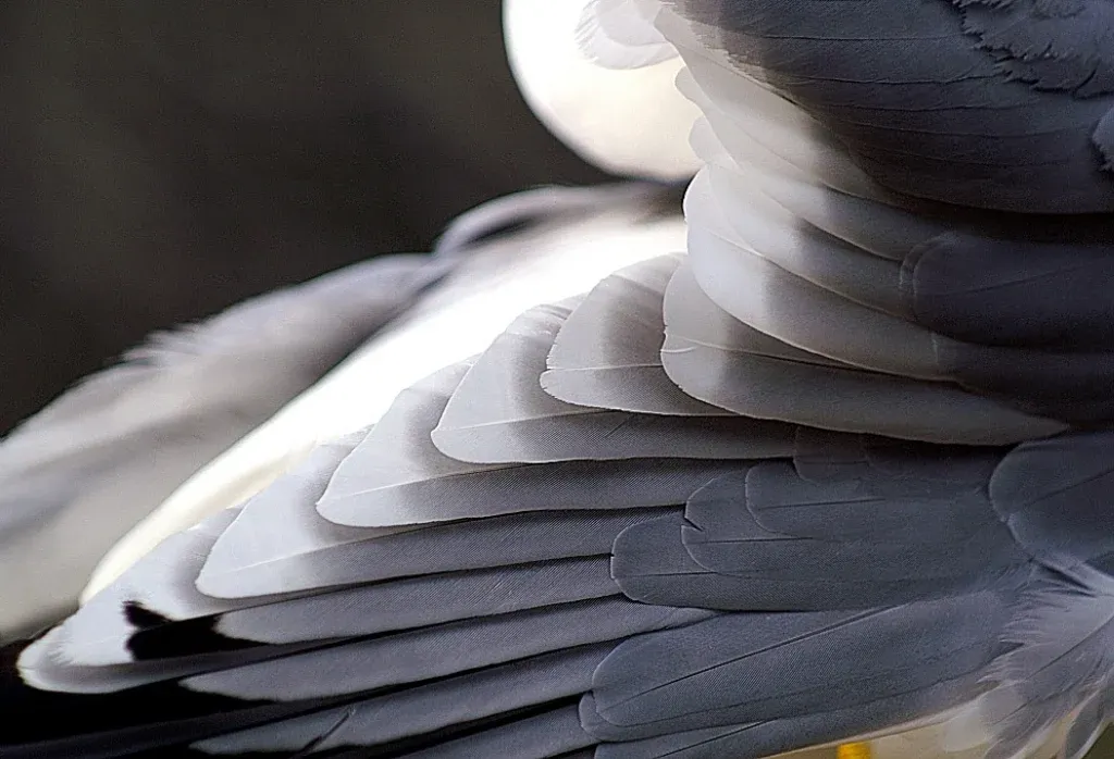 PARC DE PORT-CROS : Découverte et vigilance, un programme estival entre animations nature et prévent