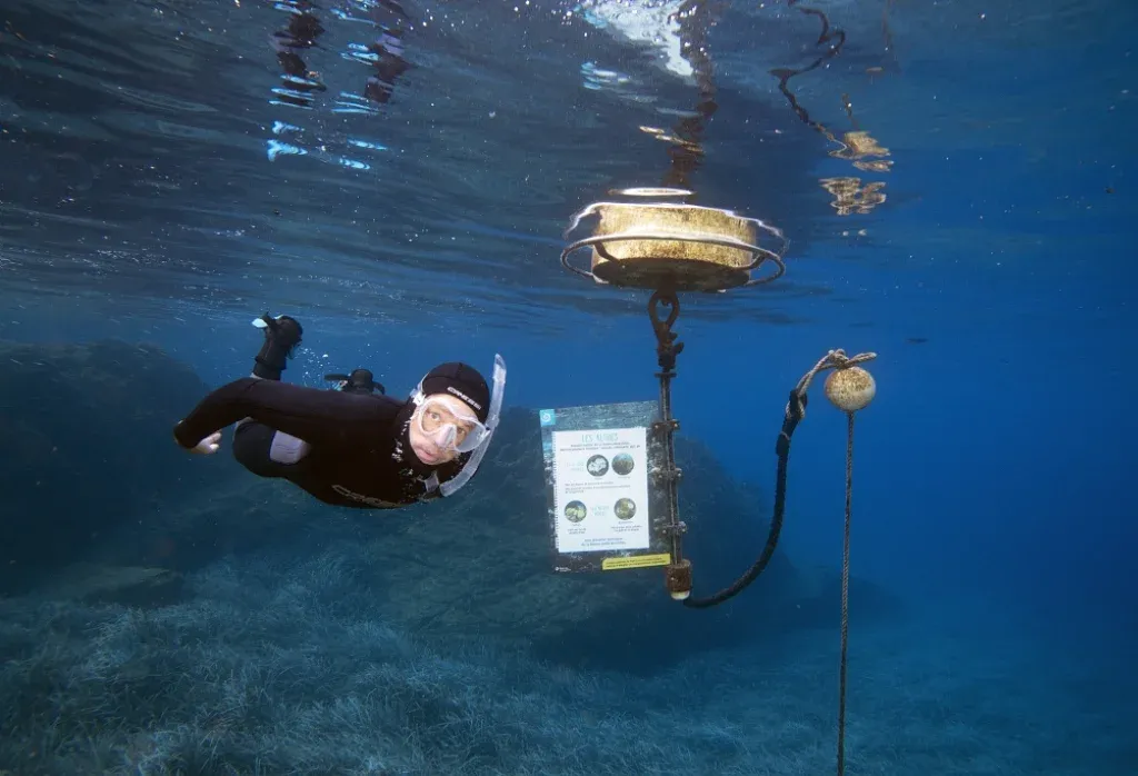 PARC DE PORT-CROS : Découverte et vigilance, un programme estival entre animations nature et prévent