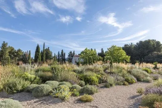 PROVENCE : Deux sites du Vaucluse et des Bouches-du-Rhône finalistes des Victoires du Paysage 2026