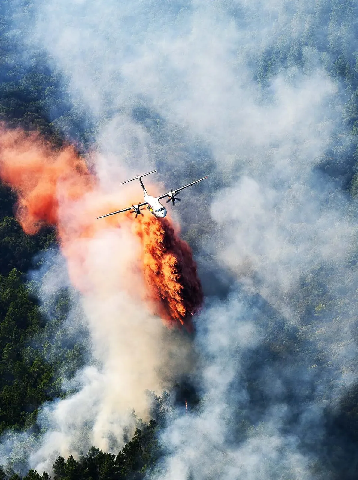 PUGET-SUR-ARGENS : Guillaume Decard : « Incendies : Cessons le cycle émotion–rapport–oubli »