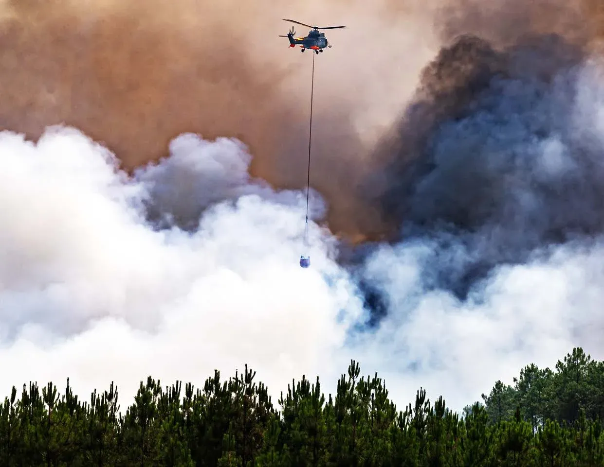 PUGET-SUR-ARGENS : Guillaume Decard : « Incendies : Cessons le cycle émotion–rapport–oubli »