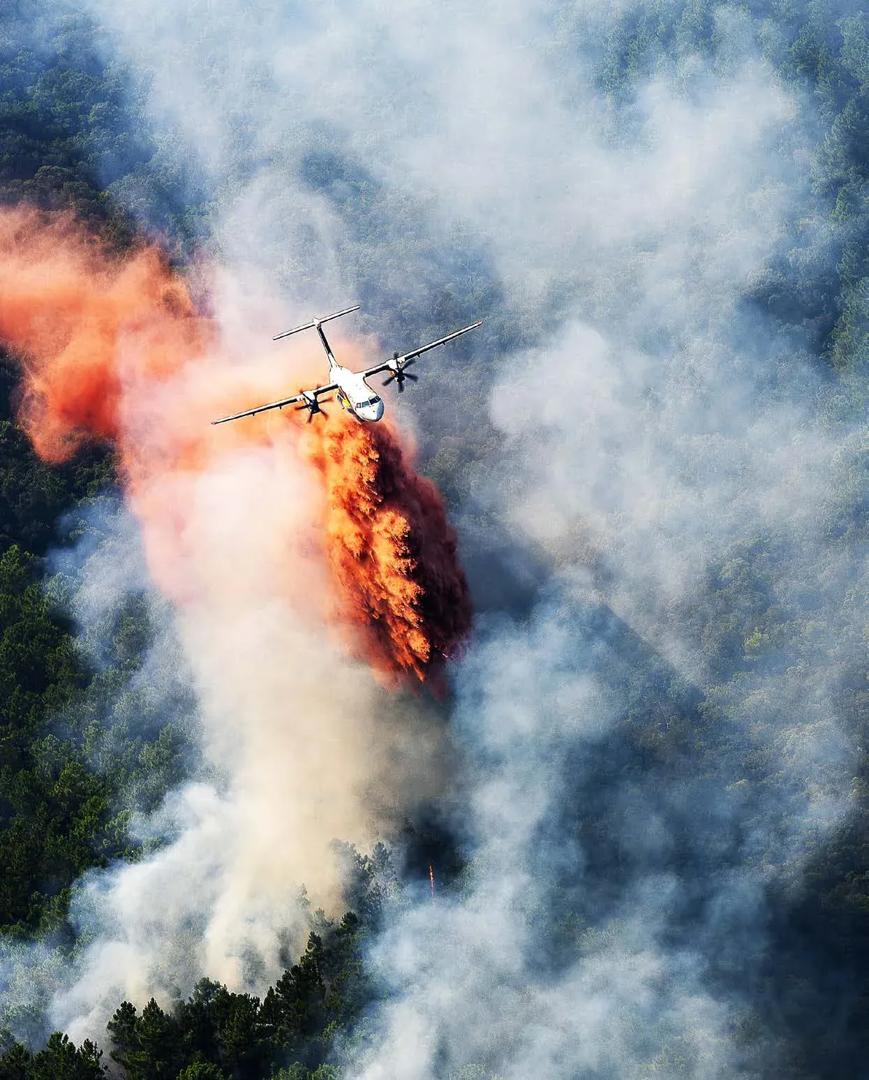 PUGET-SUR-ARGENS : Guillaume Decard : « Incendies : Cessons le cycle émotion–rapport–oubli »