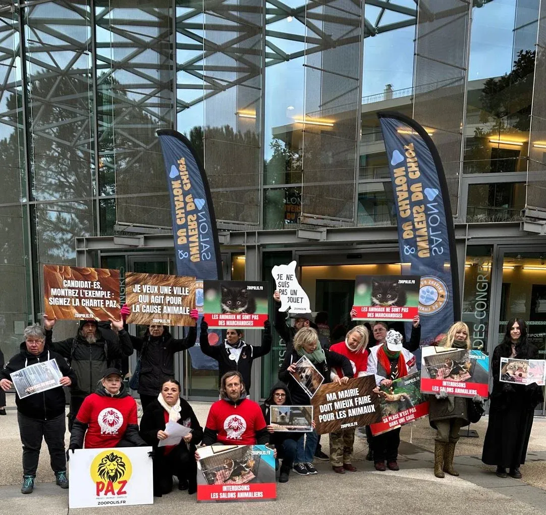 SALON-DE-PROVENCE : Protection animale - L'association PAZ se mobilise contre un salon du chiot