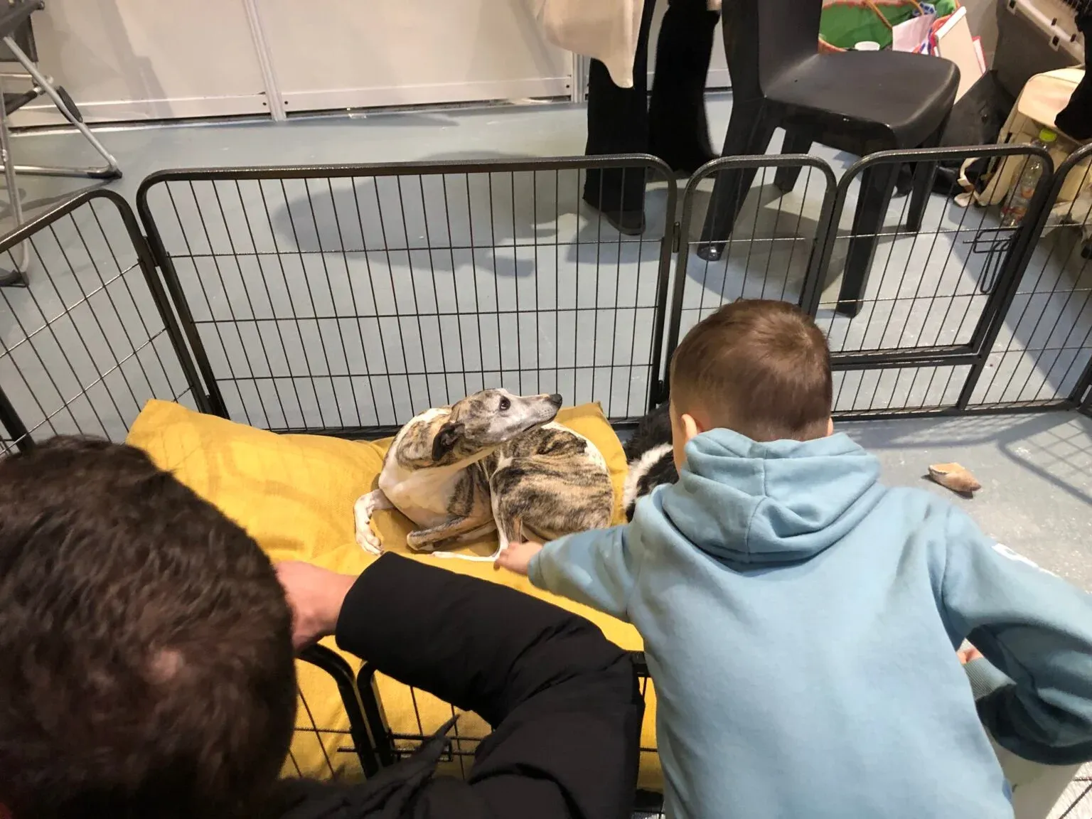 SALON-DE-PROVENCE : Protection animale - L'association PAZ se mobilise contre un salon du chiot