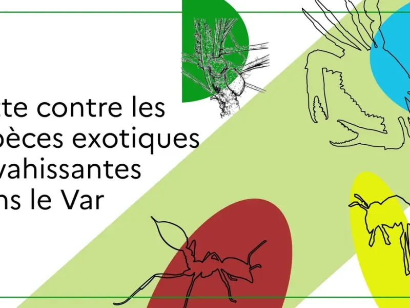 TOULON : Monique Barbut face à la fourmi électrique, de nouvelles armes testées dans le Var