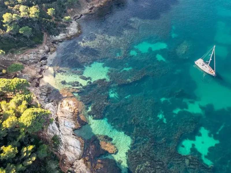 LA CROIX-VALMER : Journée de la Mer - Ateliers et cinéma en plein air au Cap Lardier